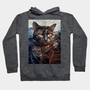 Armored knight cat: Sire Hoodie